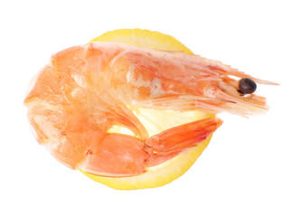 Boiled shrimp with lemon isolated on white