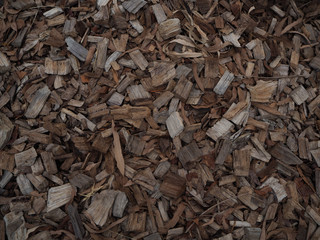 Wood Background Texture