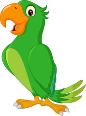 Obraz premium Cartoon cute parrot