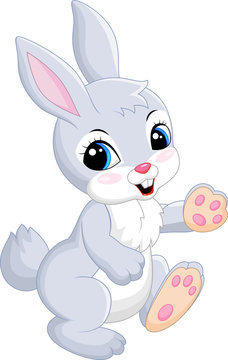 Cute bunny cartoon