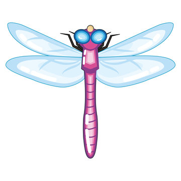 Cute Purple Dragonfly with Blue Wings