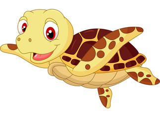 Cute baby turtle cartoon