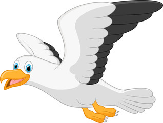 Obraz premium Cartoon smiling seagull on white background