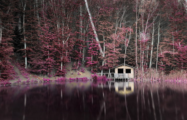 Lake infrared filter abstract imitation of nature