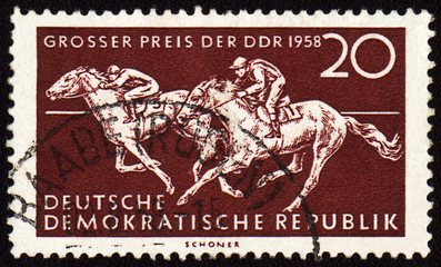 Horse riding sports on post stamp