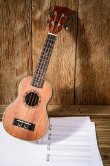 Ukulele and musical  paper notes