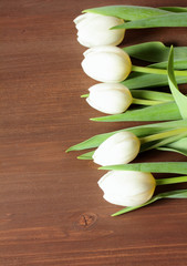 Fototapeta na wymiar white tulips on wooden background