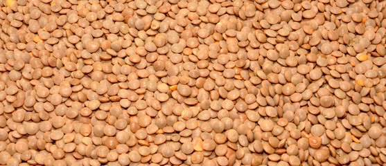 Dried brown Lentils