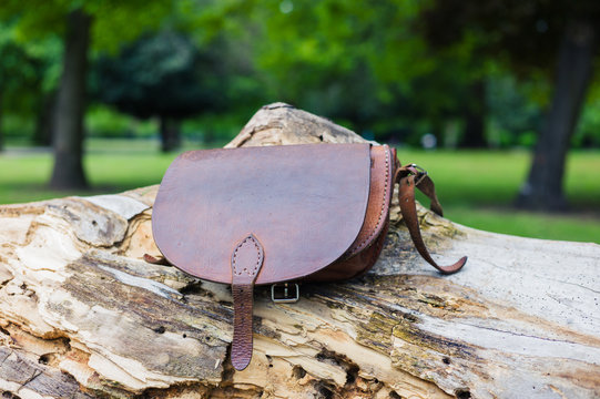 Leather handbag on tree trunk