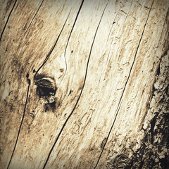 Wood texture