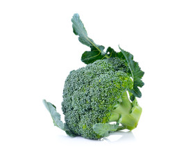 fresh broccoli on white background