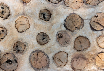 Decorating tree stump on floor as background.