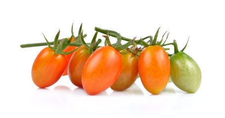 tomatoes on white background