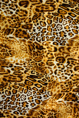  wild animal pattern background or texture