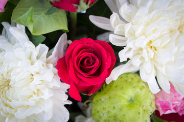 red rose and white Chrysanthemum, flower background