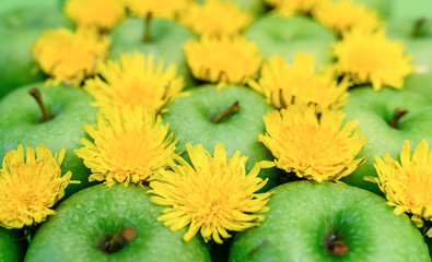 Green apple and dandelion