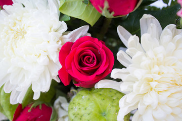 red rose and white Chrysanthemum, flower background