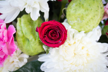 red rose and white Chrysanthemum, flower background