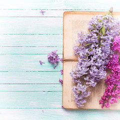 Postcard with  lilac flowers and old book