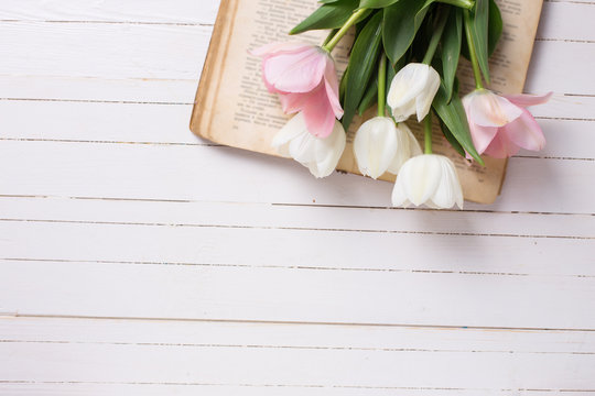 Background with fresh  tulip flowers on  vintage book