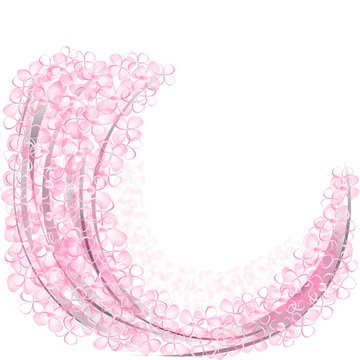 fleurs roses sur lignes arrondies