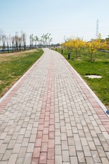 Sidewalk in the park