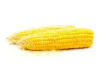 Boiled corn on white background