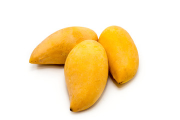 mango fruit isolated on white background