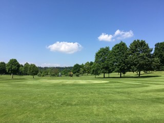 Green golf field and blue sky