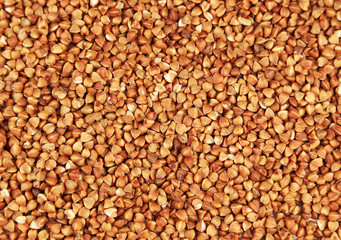 Buckwheat background