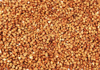 Buckwheat background