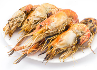 Grilled shrimps on the white plate in white background.