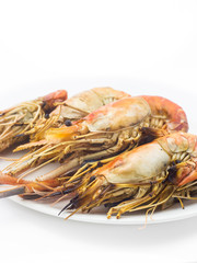 Grilled shrimps on the white plate in white background.