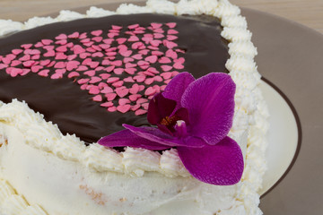 Chocolate icing cake