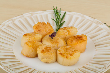 Grilled scallops