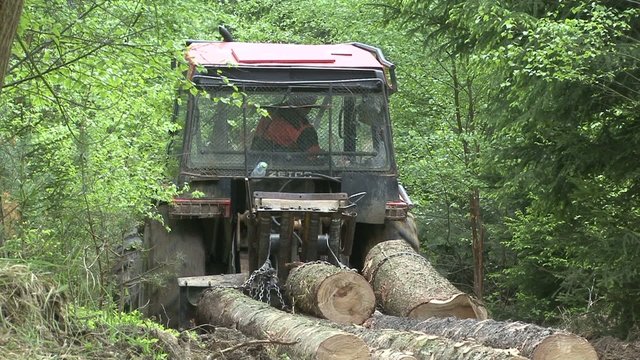 Logging, timber skidding