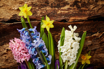 Hyacinths and narcissus