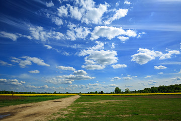 Beautiful Polish landscape