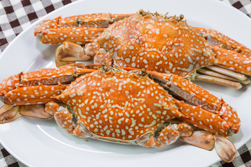 Streamed blue crabs ( sand crab )