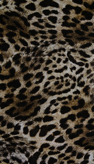 texture of print fabric striped leopard for background