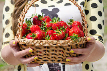 woman holding basket with strawberry