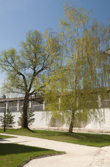 Staritsky Holy Dormition monastery