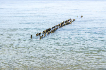 Overlooking the Baltic Sea