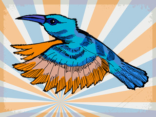 vintage background with hummingbird