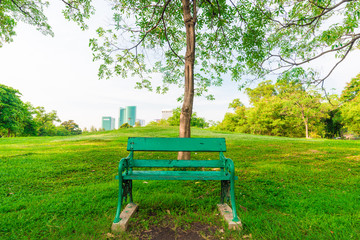 Bench in Green lawn at city park