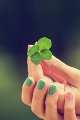Four leaf clover.