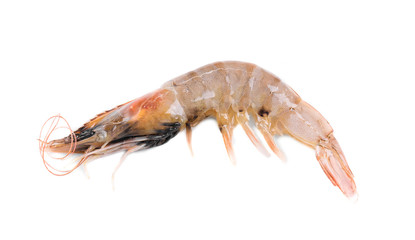 Raw tiger shrimp.
