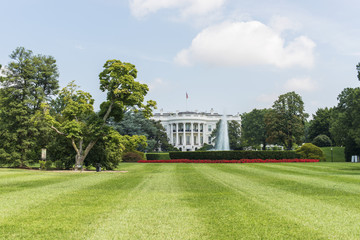 Naklejka premium White House - Washington DC