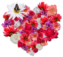 Beautiful heart made of different flowers