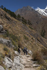 Fototapeta na wymiar Himalaya